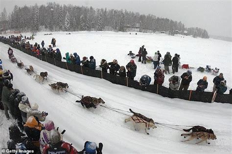Norwegian Musher Achieves Boyhood Dream Wins Iditarod Race Iditarod