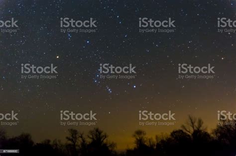 Orion Constellation Above A Night Forest Stock Photo Download Image
