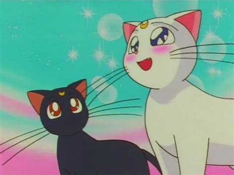 Forever Sailor Moon Sailor Moon Cat Diana Sailor Moon Sailor Moon