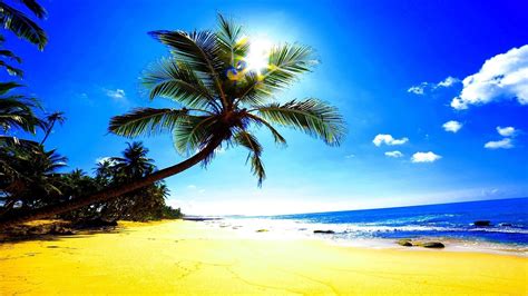 Beach Sand Sun Ocean Nature Tropics Glare Palm Trees Coolwallpapers Me