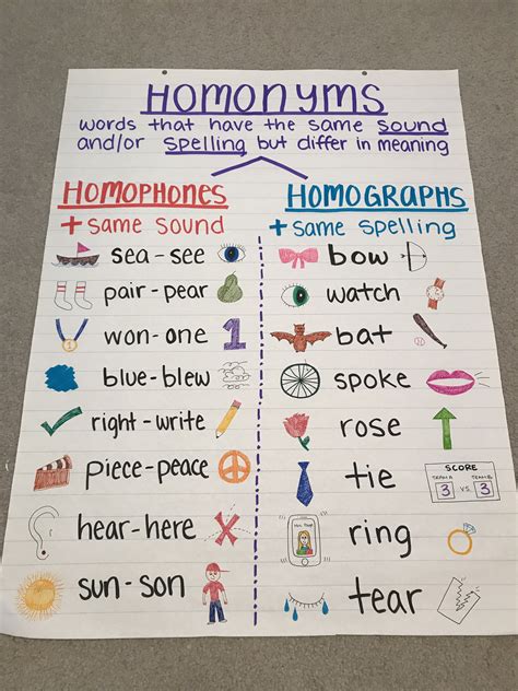 Homonyms Homophones Homographs Elementary Learning Classroom