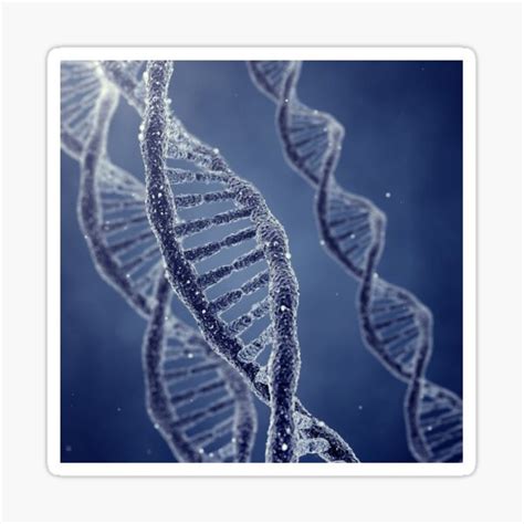 Genetics Sticker For Sale By Nobeastsofierce Redbubble