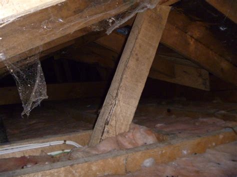 We have the training and expertise to identify a range of issues to make sure you are making an. Building Inspections Australia, Real Estate Agents