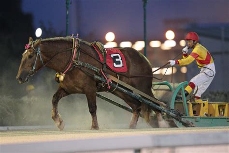 865 likes · 35 talking about this. ばんえい競馬 2013.7.14 | 馬たちにかこまれて。