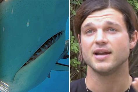 Shark Attack Victim Speaks Out About What Really Happened To Him Video Human Impact