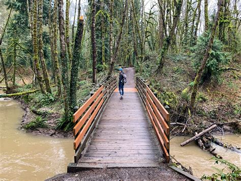 The 13 Best Hikes In Portland Complete Portland Hiking Guide