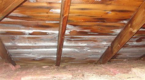Why Is There Frost In Attics Green Home Guide Ecohome
