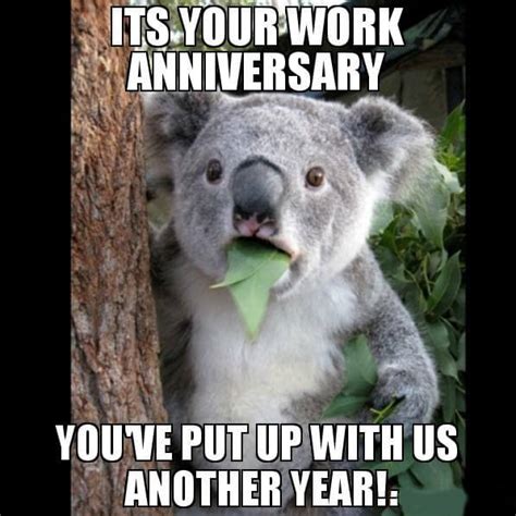 cute work anniversary meme happy work anniversary meme to make them images and photos finder