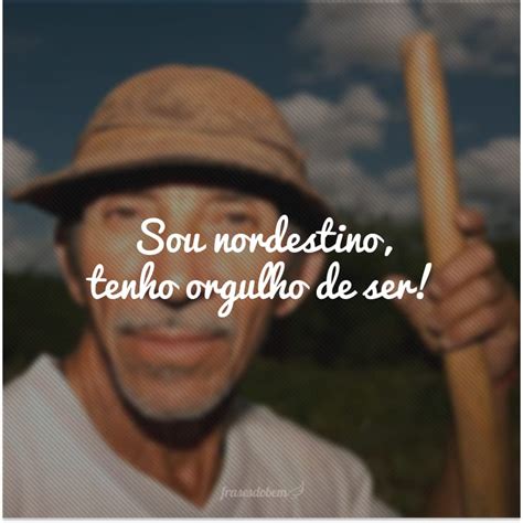 Frases Nordestinas Para Fotos