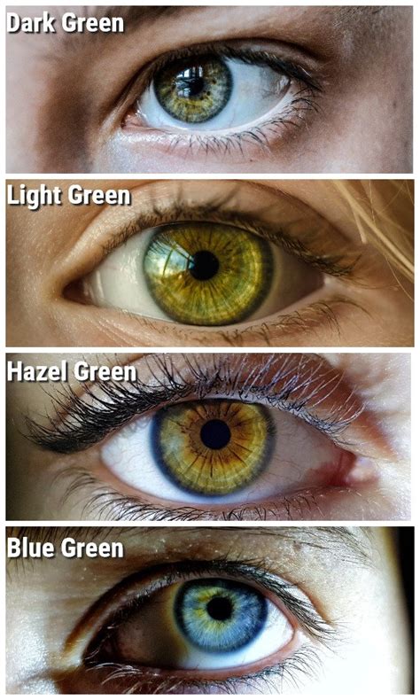 Hazel Eye Color Chart Ph