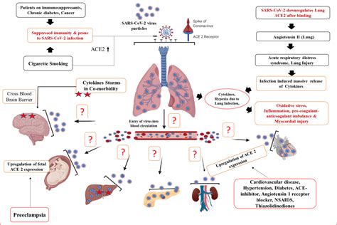 Multiple Organ System Failure Pictures