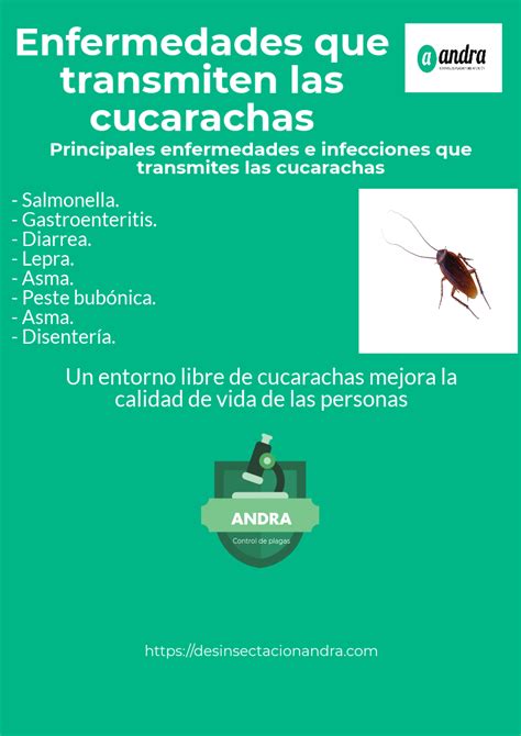 Te enseñamos varias maneras de prevenir y eliminar si es demasiado tarde a las cucarachas entran a las casas a través de las tuberías, por puertas y ventanas, el alambrado o en todo caso, algún agujero que comunique tu casa. ¿Cómo eliminar una plaga de cucarachas en tu casa?- ANDRA ...