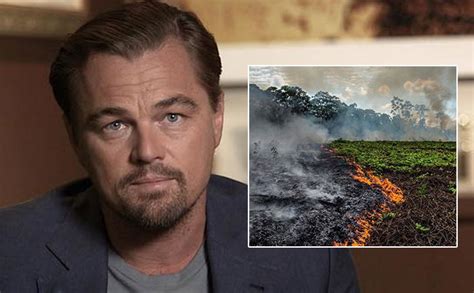 Leonardo Dicaprio Donates 5 Mn For Amazon Rainforest Fires