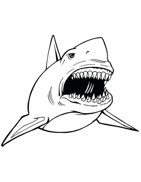 Check spelling or type a new query. Lemon Shark Coloring Page at GetDrawings | Free download