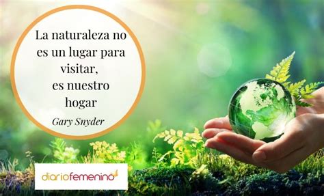 Frases De La Naturaleza Para El D A Mundial Del Medio Ambiente