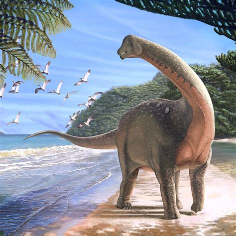 Species New To Science Paleontology 2018 Mansourasaurus Shahinae