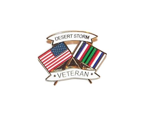 Desert Storm Veterans Pin Seabee Museum And Memorial Park
