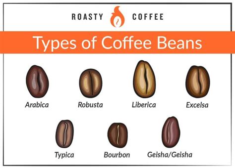 50 Different Types Of Coffee Drinks Explained Ultimate Guide Types