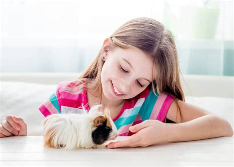Guía Completa Las Mejores Mascotas Para Niños En 10 Opciones
