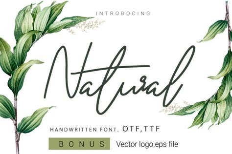Natural Font By Artdee2554 · Creative Fabrica