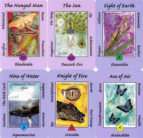 See more ideas about animal tarot cards, animal tarot, tarot. Australian Animal Tarot Deck by Ann Williams-Fitzgerald. Selection of six cards from the deck ...