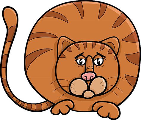 fat cat clip art vector images and illustrations istock
