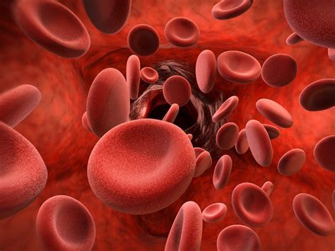 Meno Di Spedizione In Realtà Total Number Of Platelets In Human Body