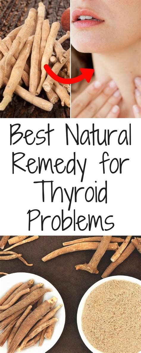 Ashwagandha Best Natural Remedy For Thyroid Problems Hypothyroidism