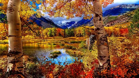 Fall Scenery Hd Wallpaper Wallpaper Flare Collects Most Beautiful Hd