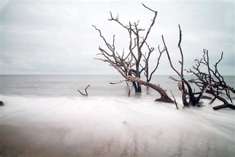 Botany Bay Reflection Photograph By Darrell Hutto Pixels
