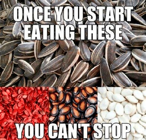 17 memes that will make you rethink slavic food russia beyond