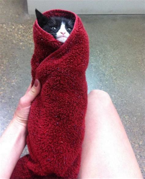 Towel Wrapped Pussy Rtightpussy