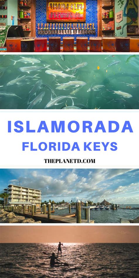 Things To Do In Islamorada The Best Of The Florida Keys Travellyclub