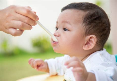 ••• kering idea untuk sediakan makanan si kecil? Acuan Memberikan Makanan Bayi 7 Bulan yang Harus Dipahami ...
