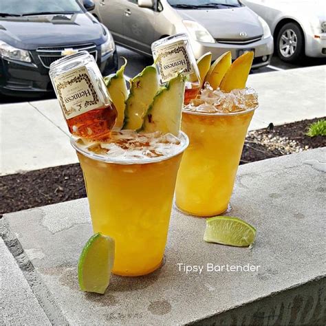 Henny Ritas Mango Hennessy Tipsy Bartender