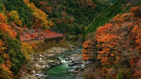 Wallpaper Trees Landscape Colorful Forest Fall Leaves Rock