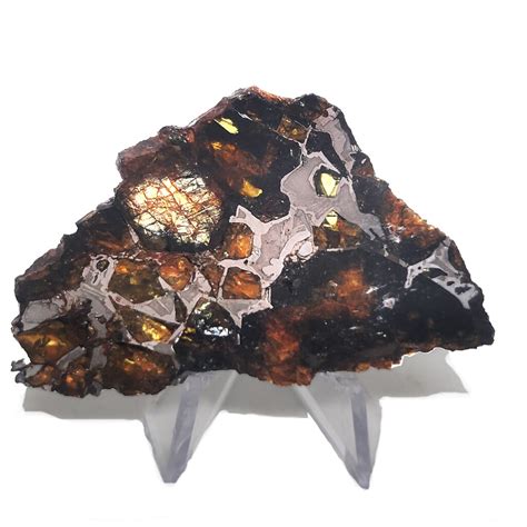 Admire Pallasite Meteorite The Fossil Cartel