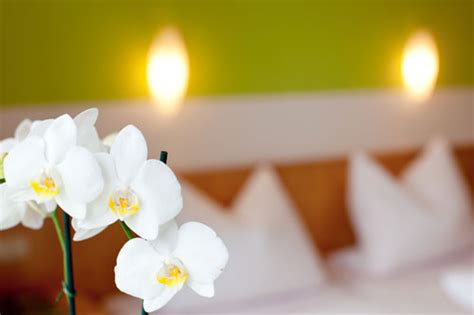 We did not find results for: Gästezimmer - Landgasthof Am Sonnenhang - Urlaub im ...