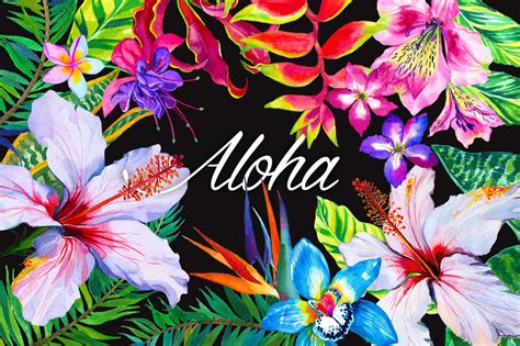 aloha fondo de pantalla hibisco hawaiano flor frangipani planta pétalo WallpaperUse