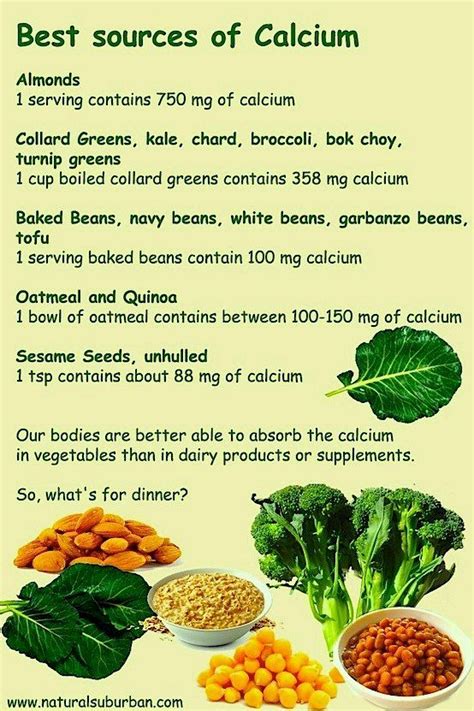 Calcium needs during pregnancy your body can't make calcium, so you need to get it from food or supplements. Broccoli clipart calcium food, Broccoli calcium food ...