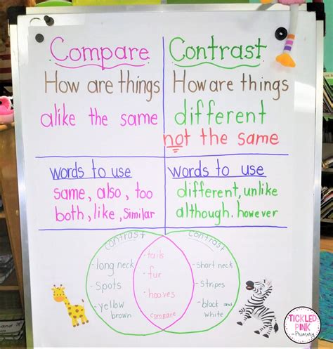 Teaching Compare And Contrast In K 3