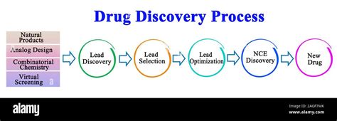 Drug Discovery Process Stock Photo Alamy