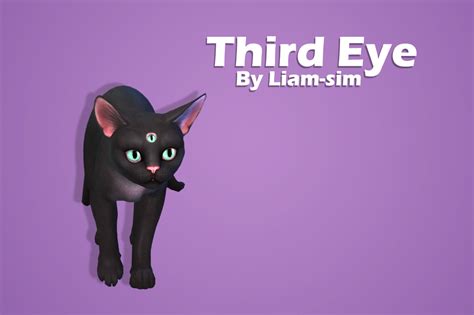 Liam Sim Third Eye Because Now Your Cat Can Mmfinds