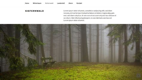 Twentyseventeen in ein One-Page-Theme verwandeln » STRATO Blog