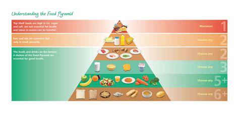 Whole Food Pyramid Food Pyramid
