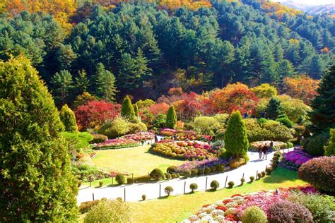 The Garden Of Morning Calm Seoul South Korea Editorial Image Image