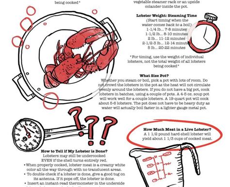 Cooking Lobster Tips And Times Infographic Best Infographics