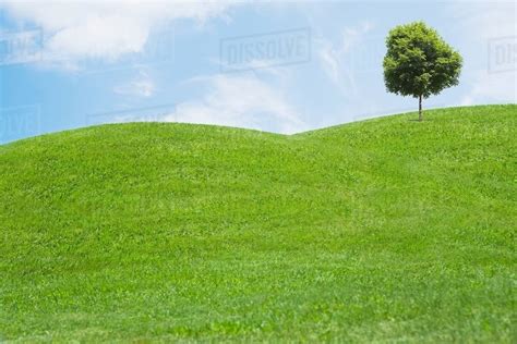 Digitally Generated Image Of Grassy Hills And Tree Stock Photo Dissolve