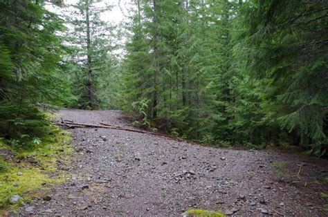 Battle Ax Creek Trail Ruth Mine Level 5 Access Road Junction Hiking