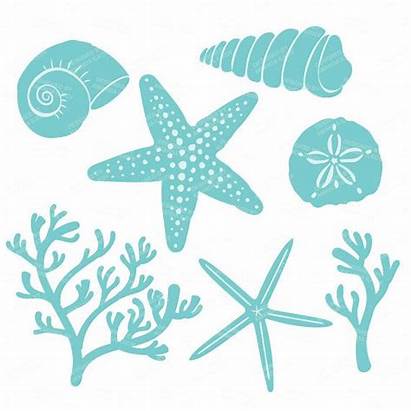 Coral Clipart Seashells Vector Clip Seashell Starfish